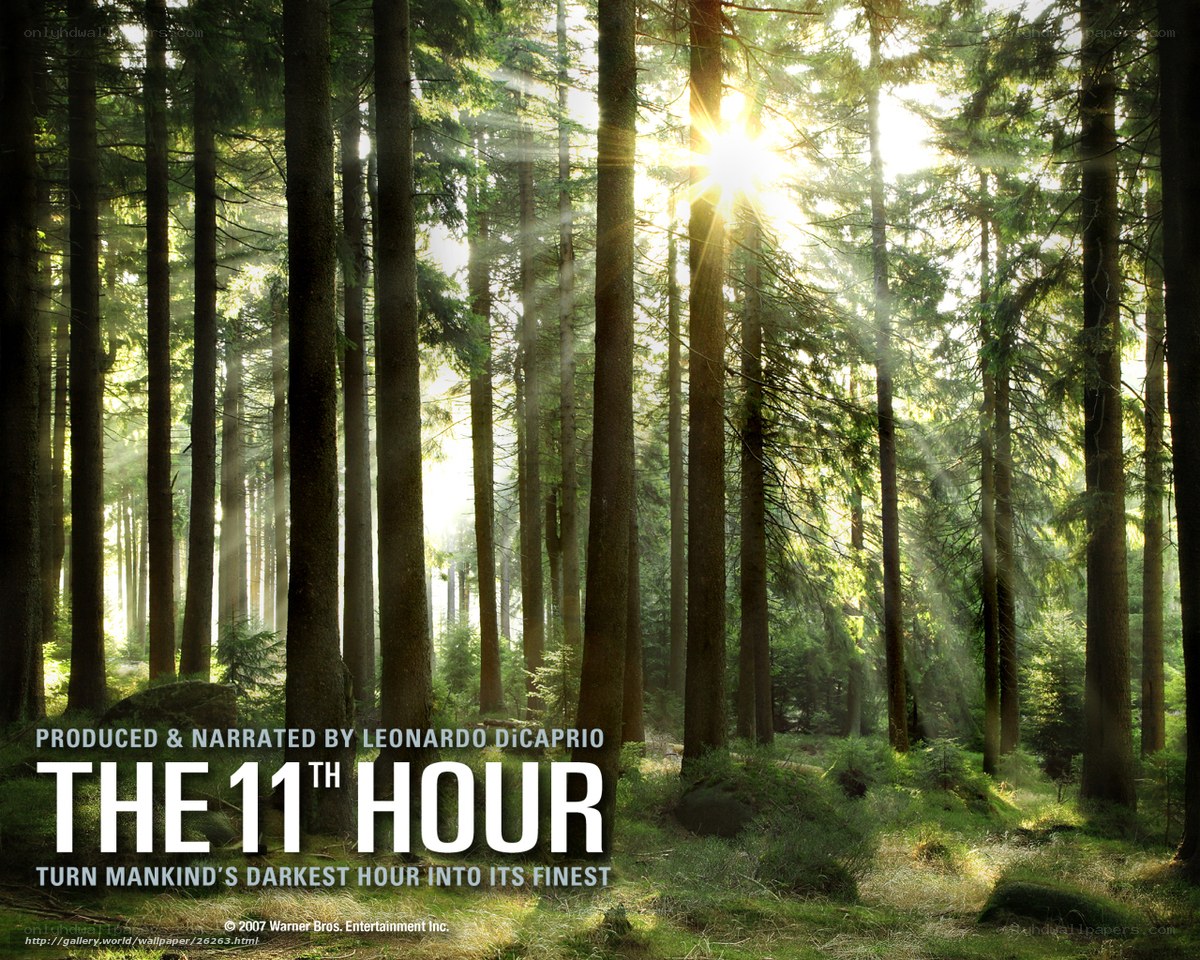 The 11th Hour