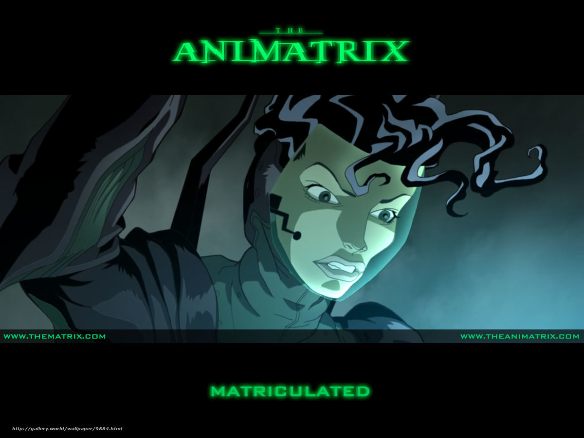The Animatrix character wallpaper
