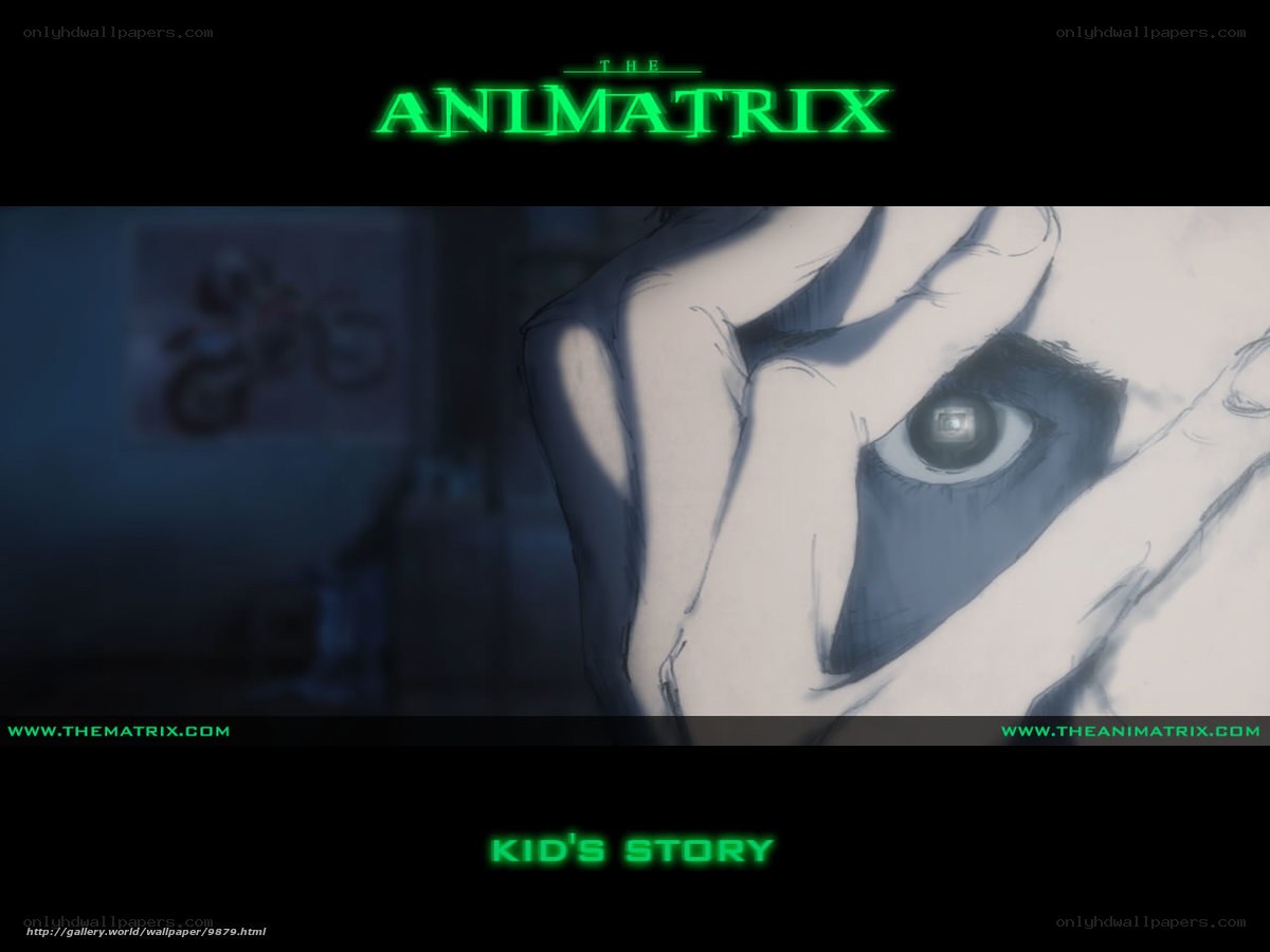 The Animatrix: Kid's Story