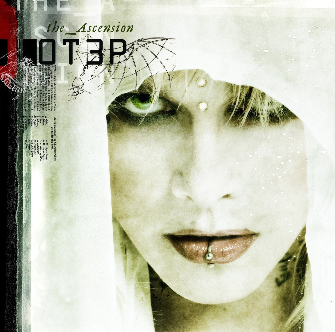 The Ascension album cover