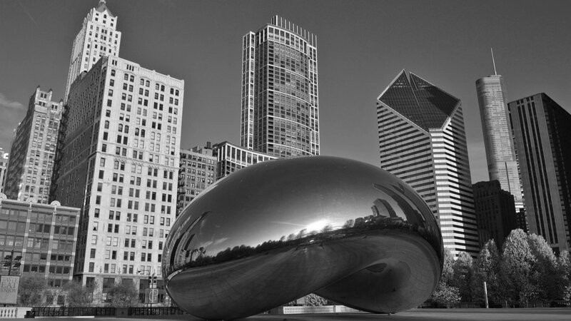 The Bean Sculpture — Black, Dramatic