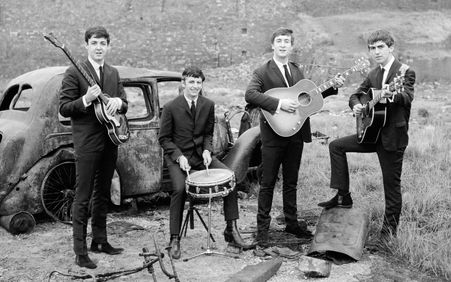 The Beatles in a field