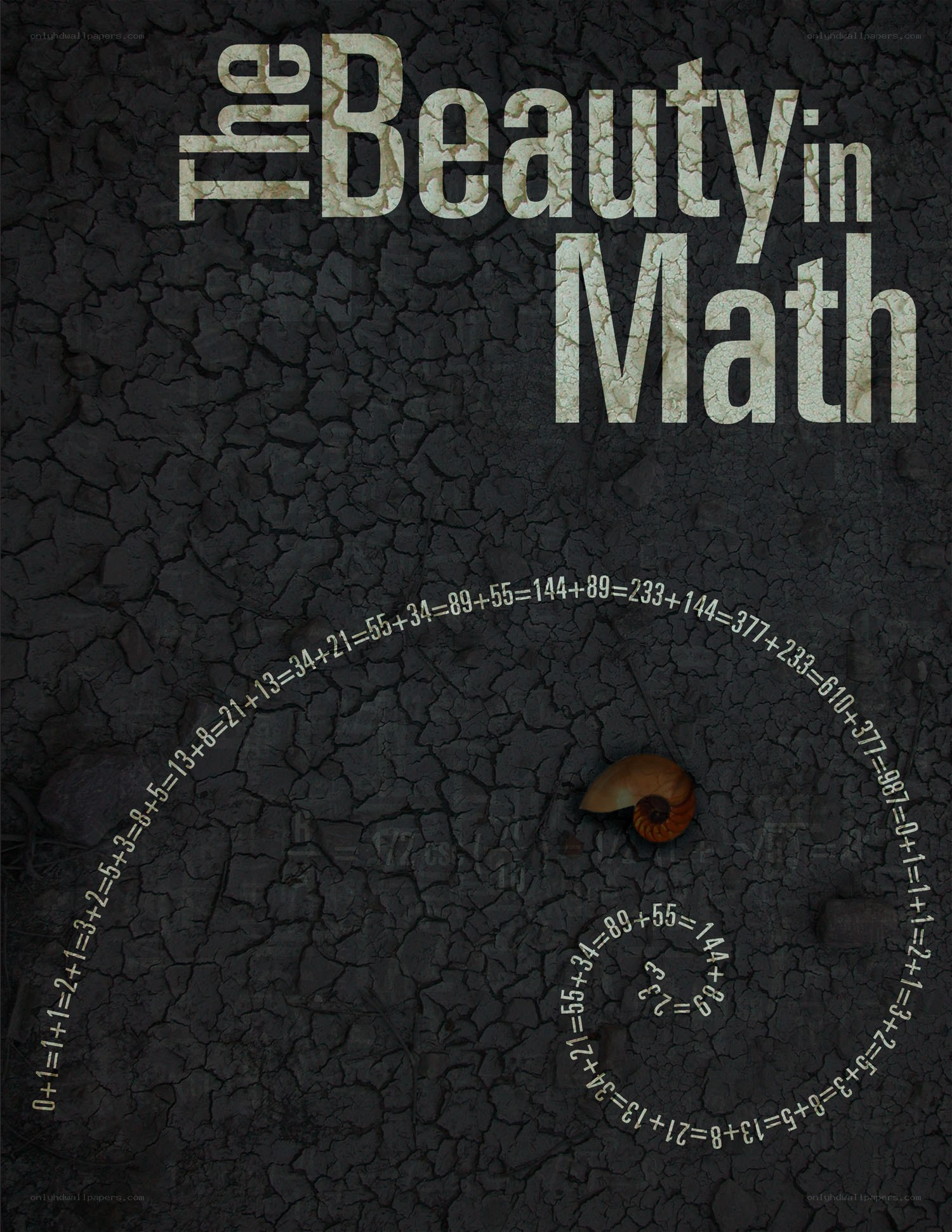 The Beauty in Math