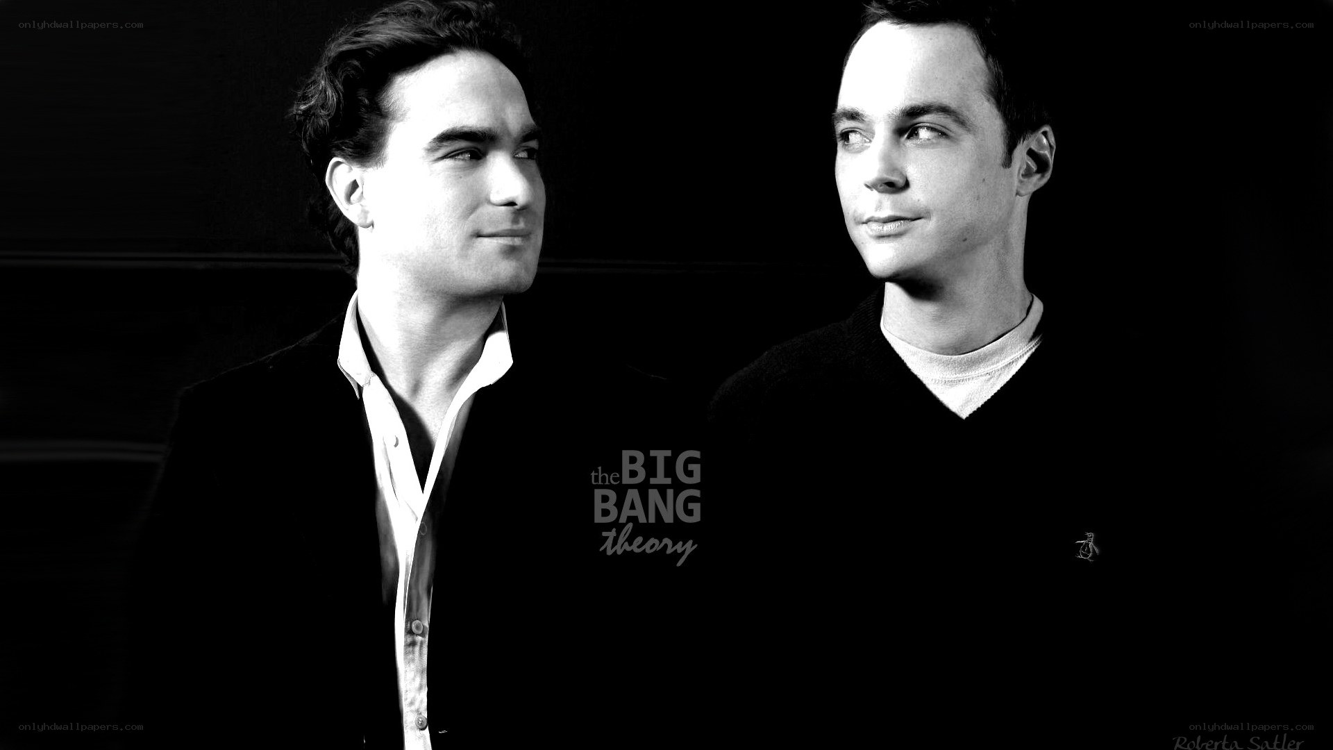 The Big Bang Theory actors
