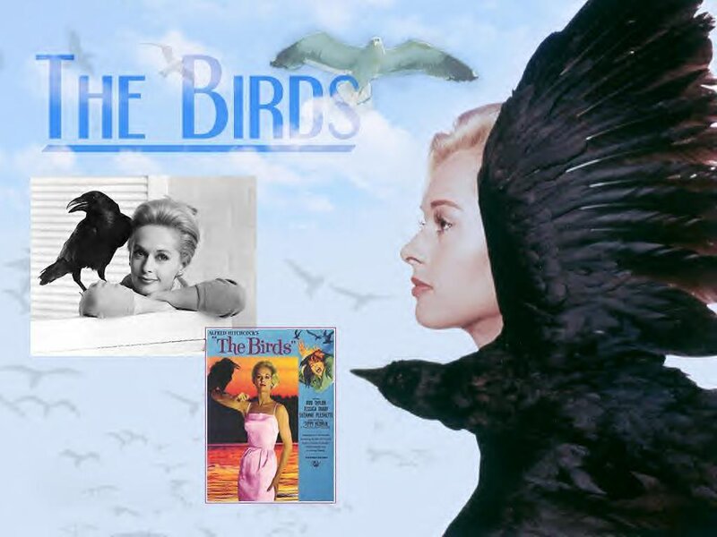 The Birds movie collage