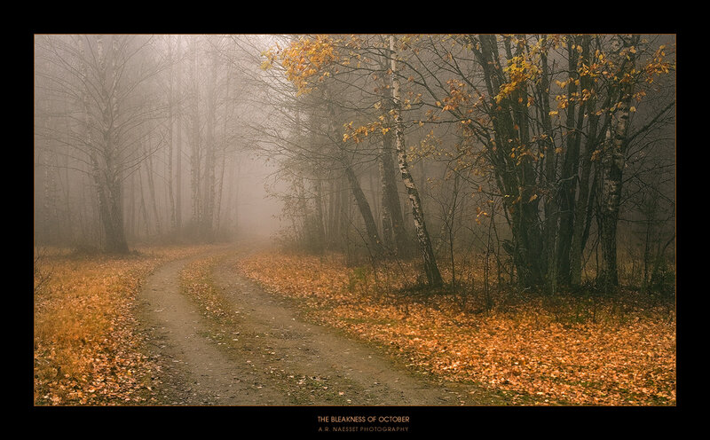 The Bleakness of October