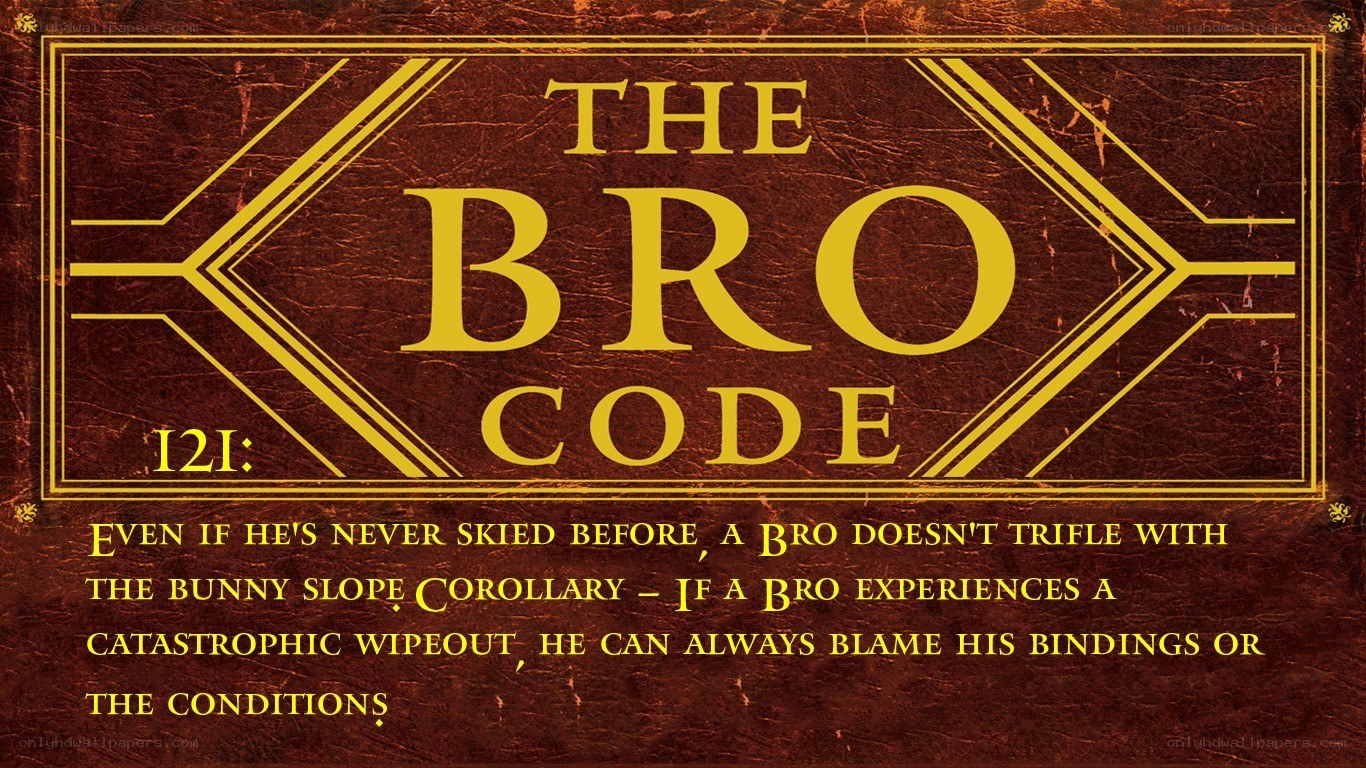 The Bro Code