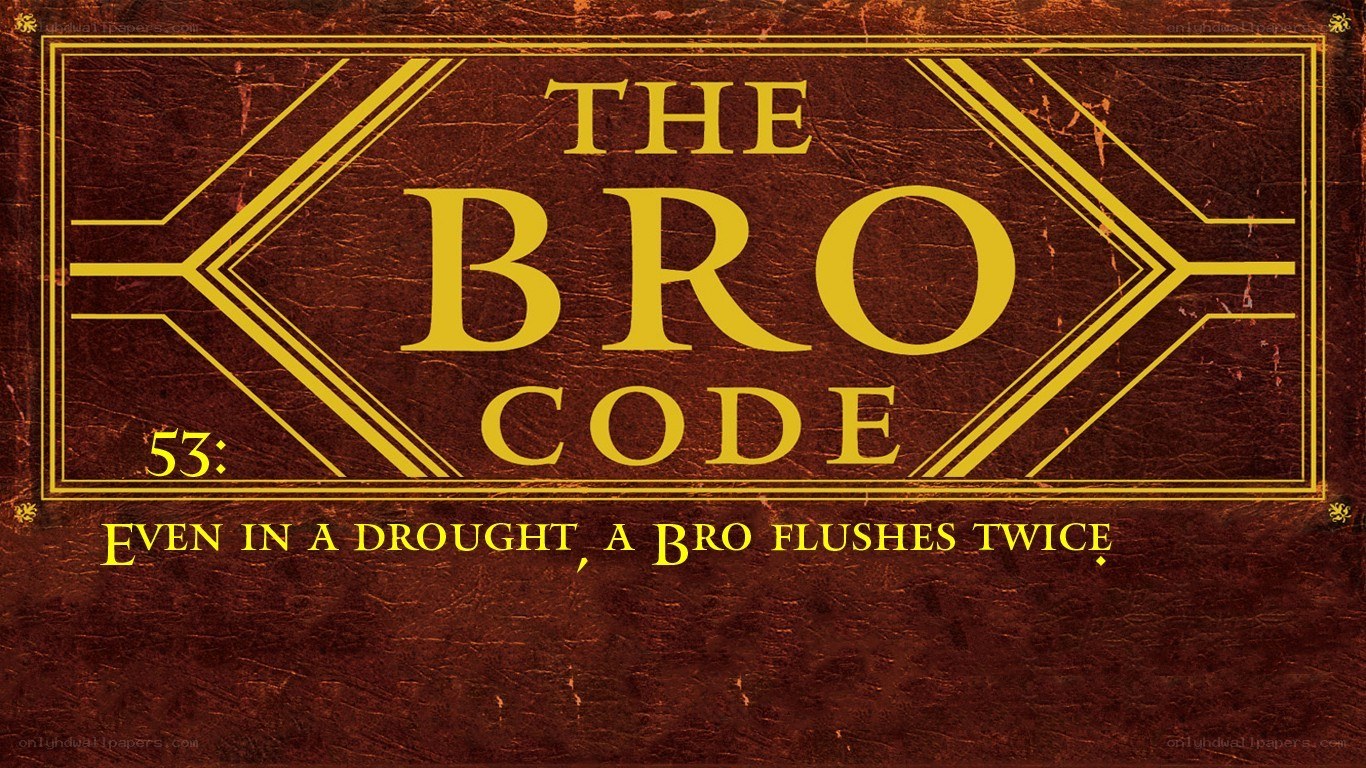 The Bro Code