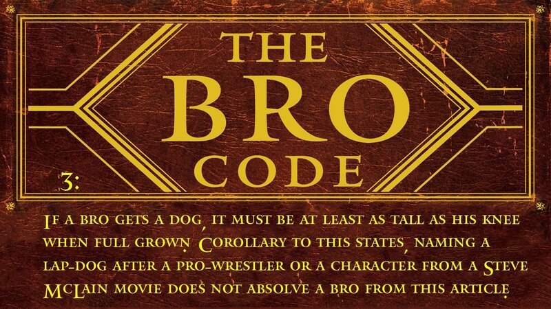 The Bro Code Rule 3