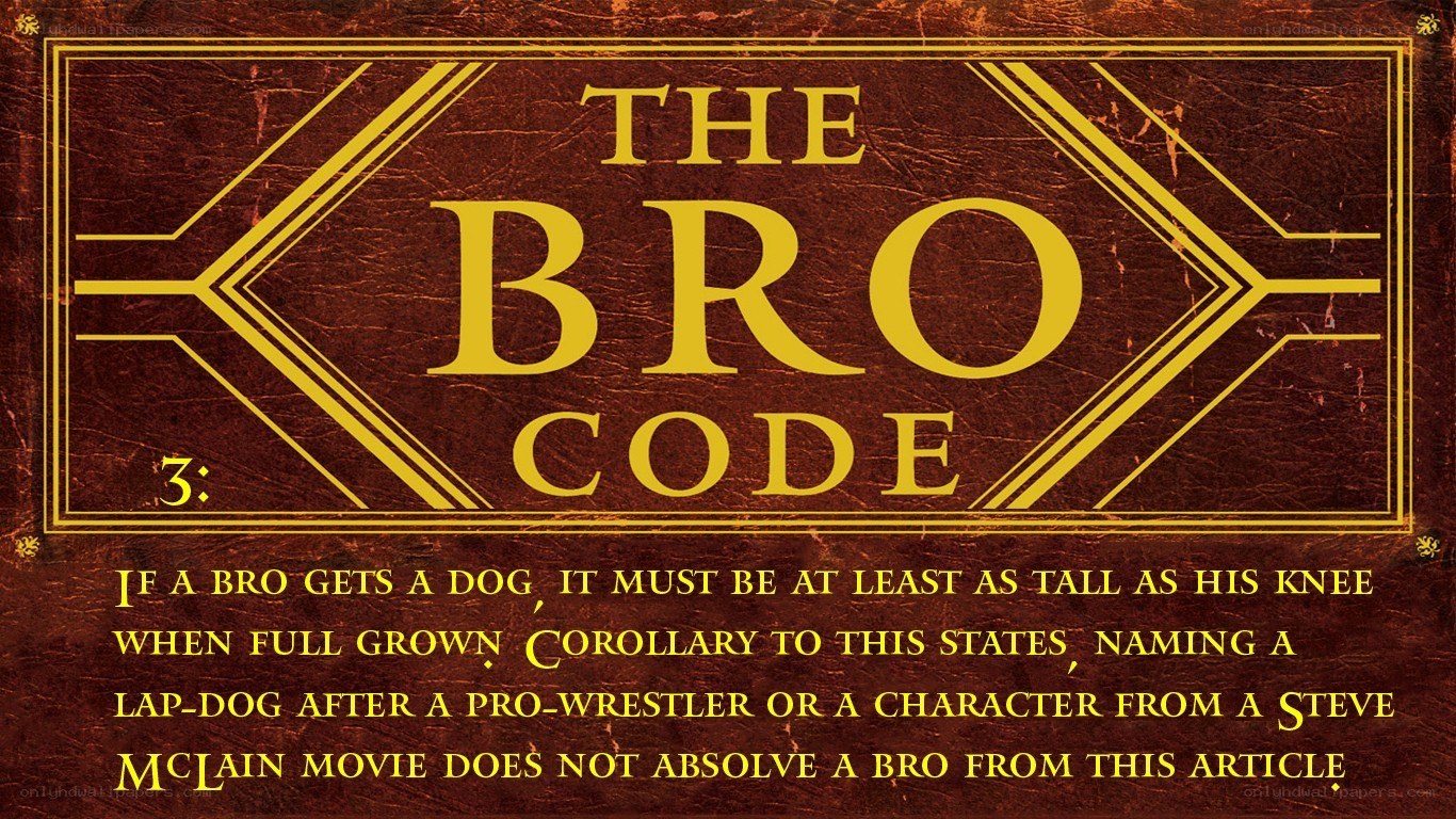 The Bro Code Rule 3