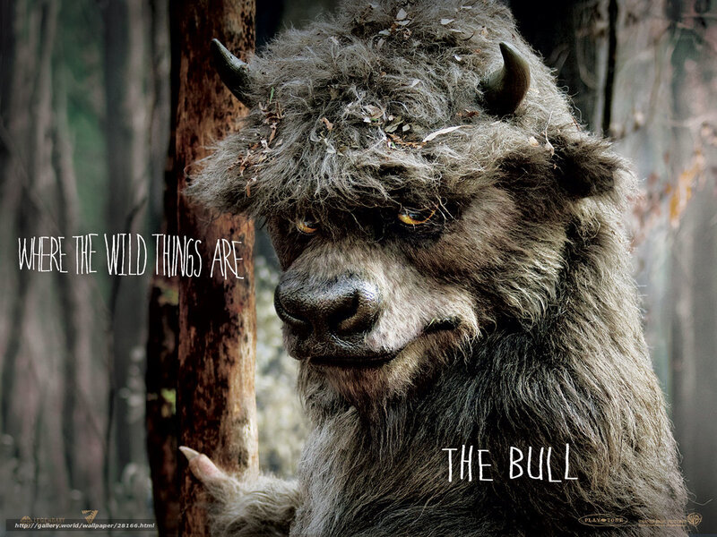The Bull from Where the Wild Things Are