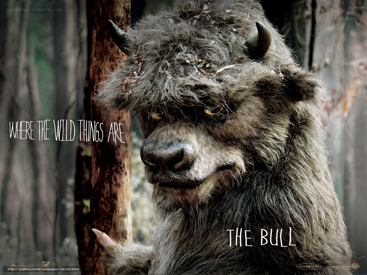 The Bull from Where the Wild Things Are