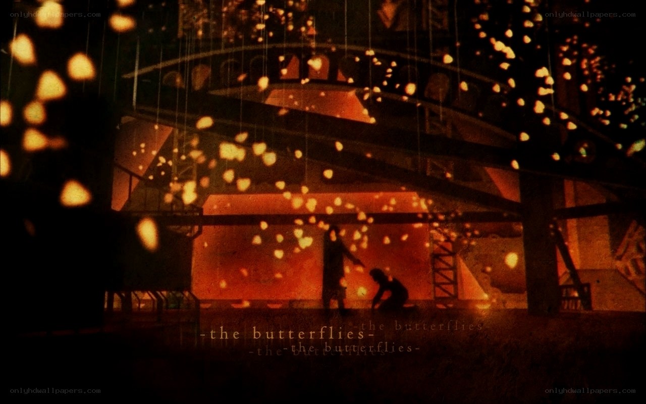 The Butterflies Scene