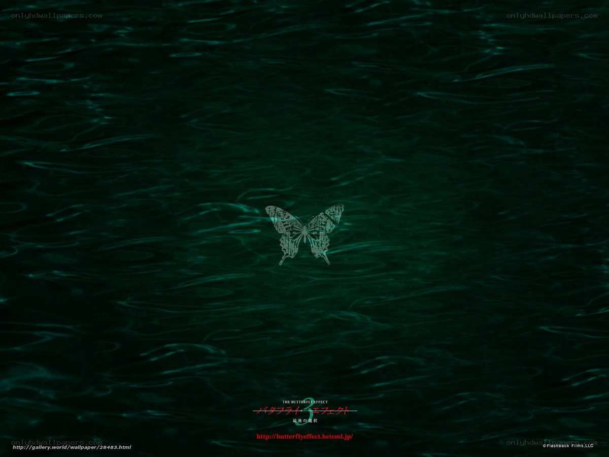 The Butterfly Effect 3: Final Cut