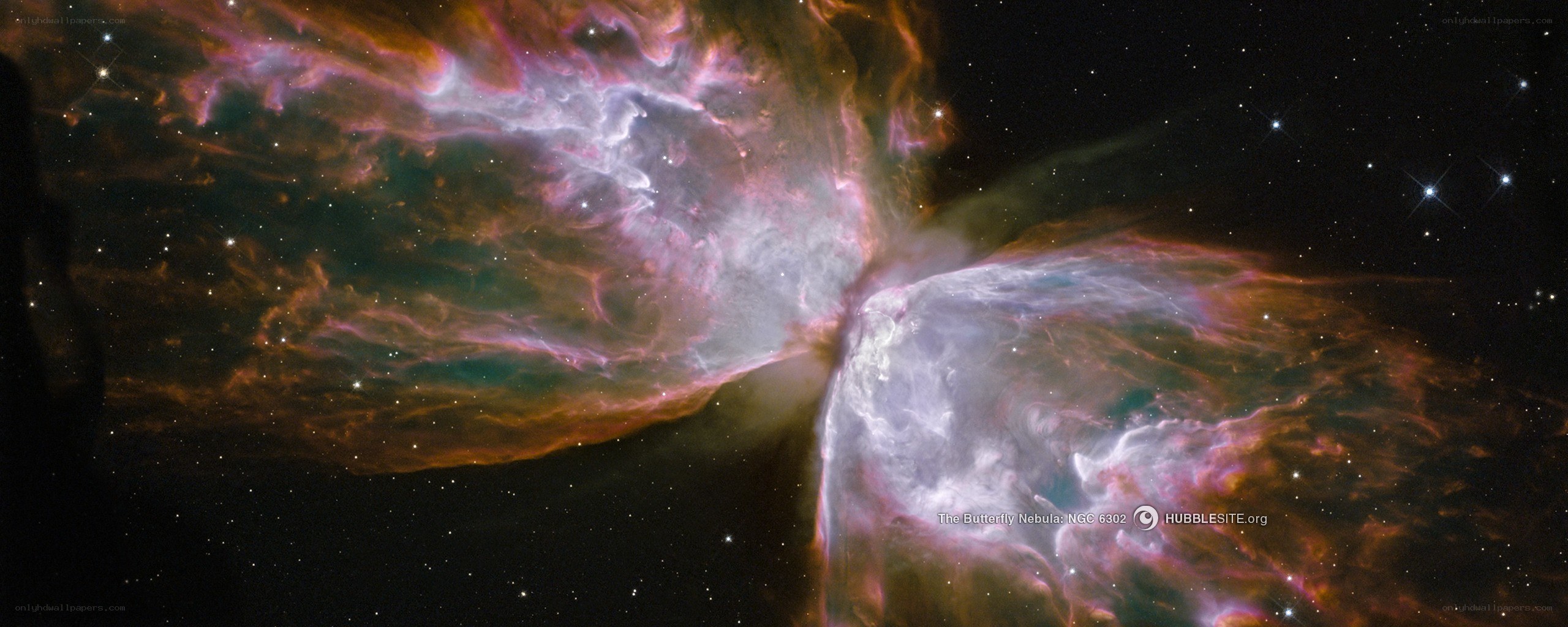The Butterfly Nebula