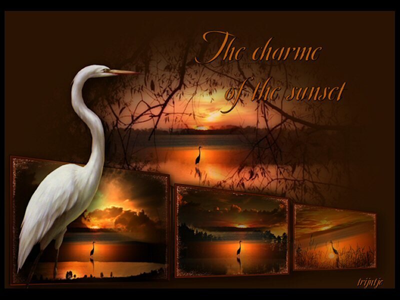 The Charm of the Sunset