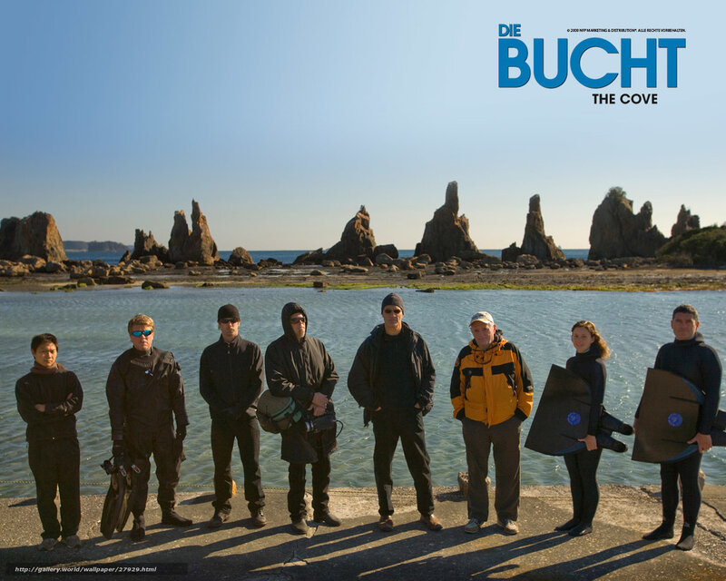 The Cove cast on a rocky shore