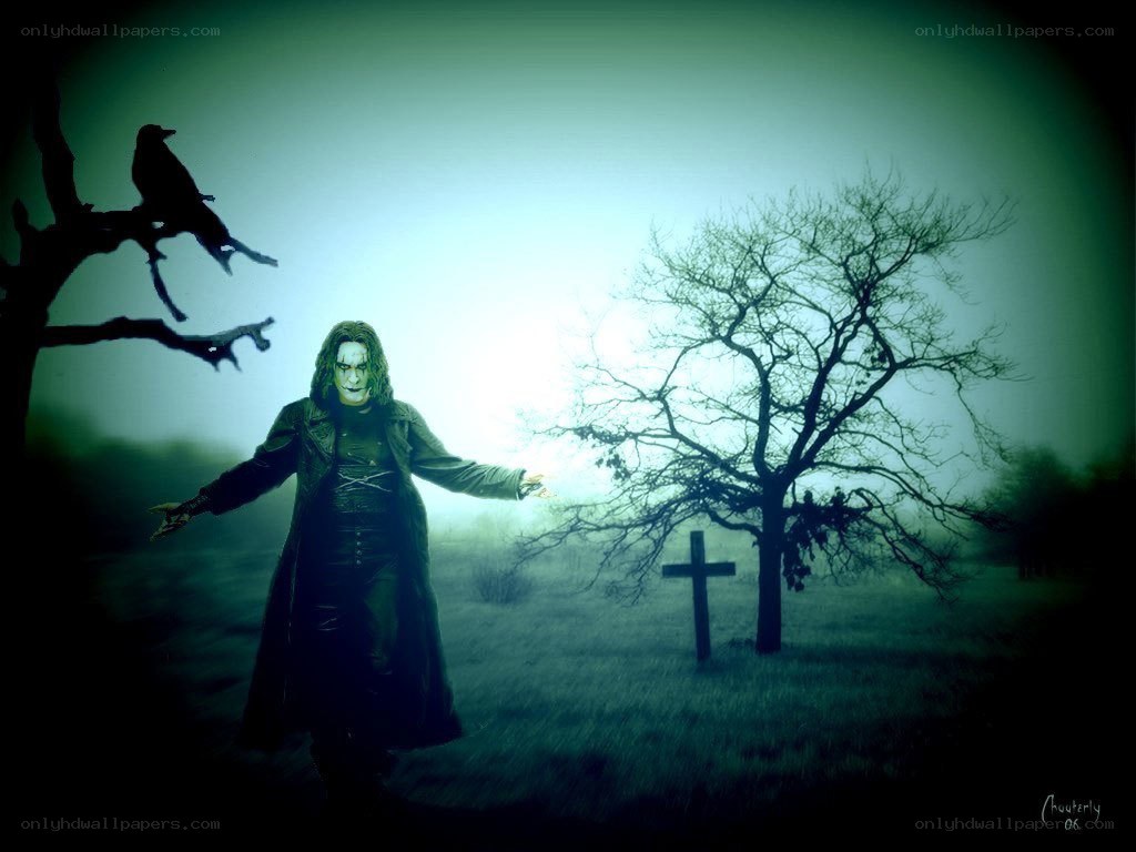 The Crow in a misty graveyard