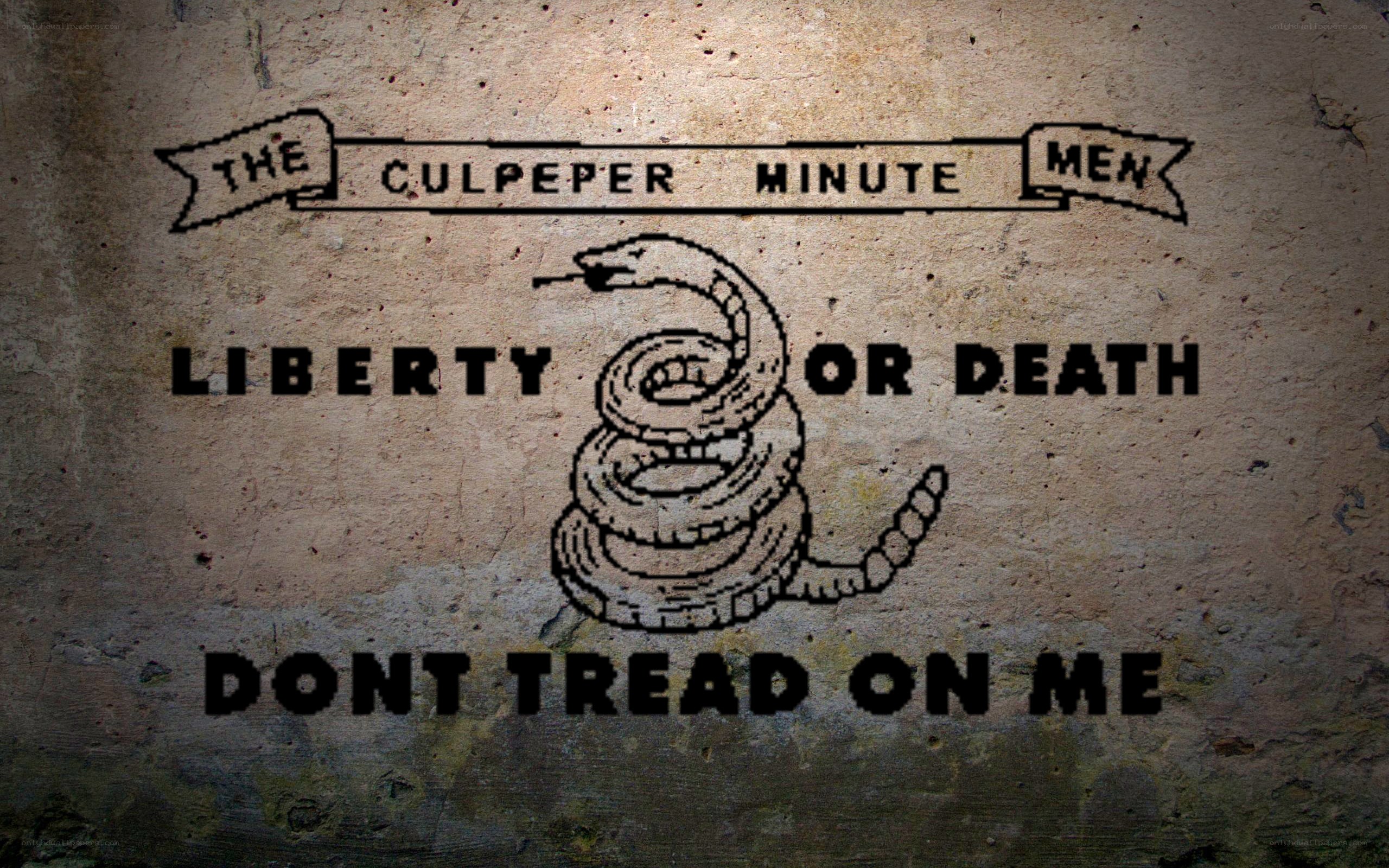 The Culpeper Minute Men
