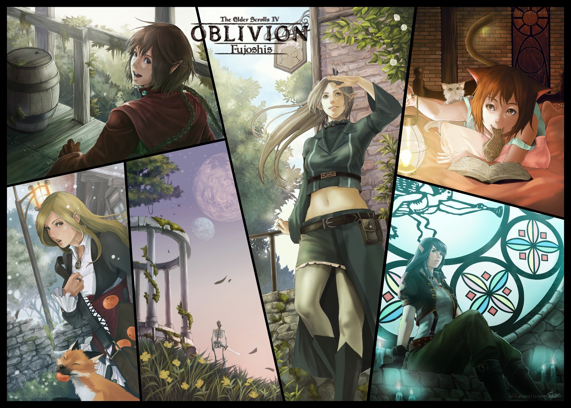 The Elder Scrolls IV: Oblivion art collage
