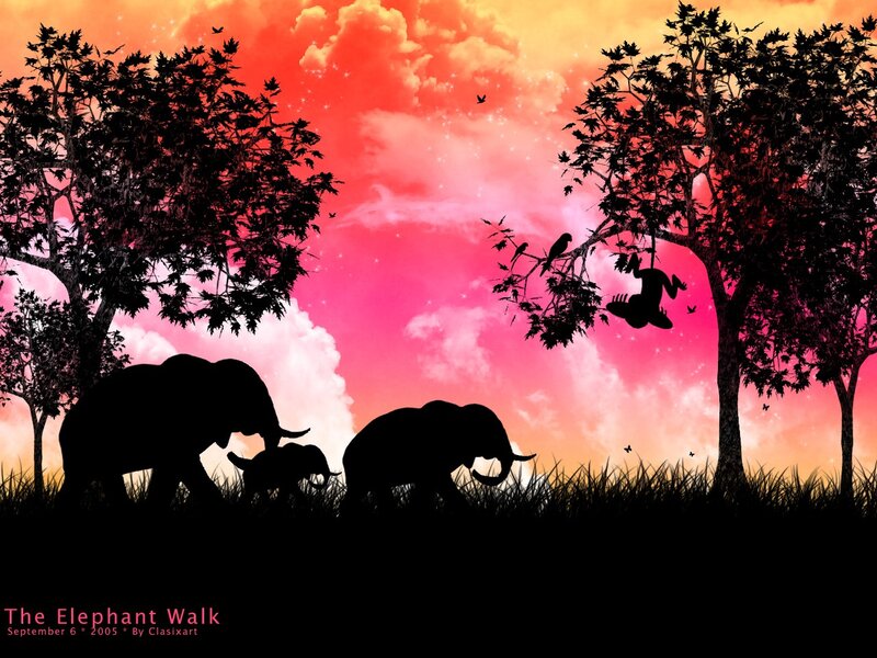 The Elephant Walk