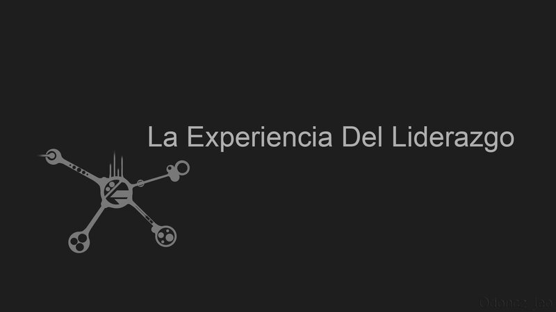 The Experience of Leadership