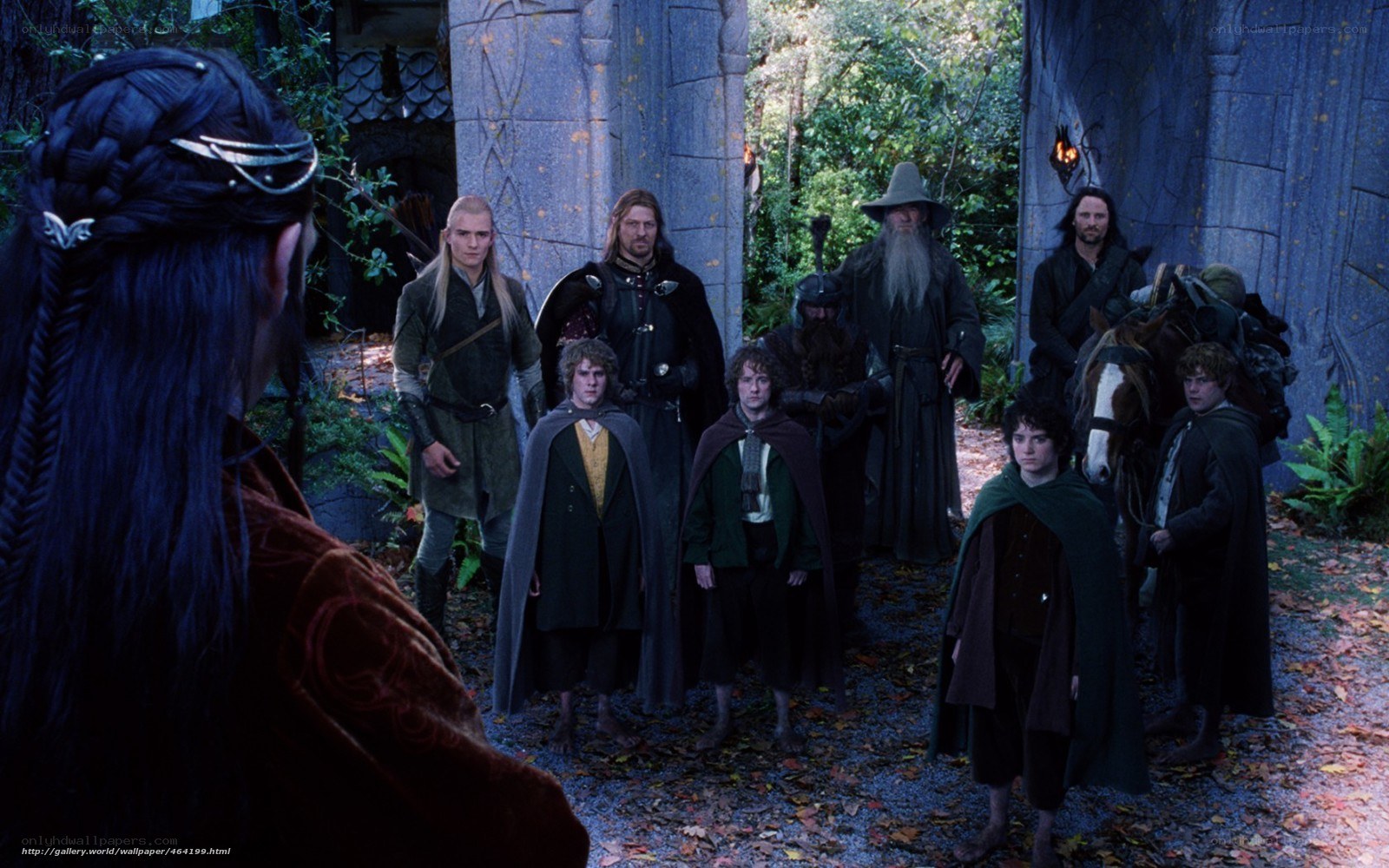 The Fellowship meets Elrond