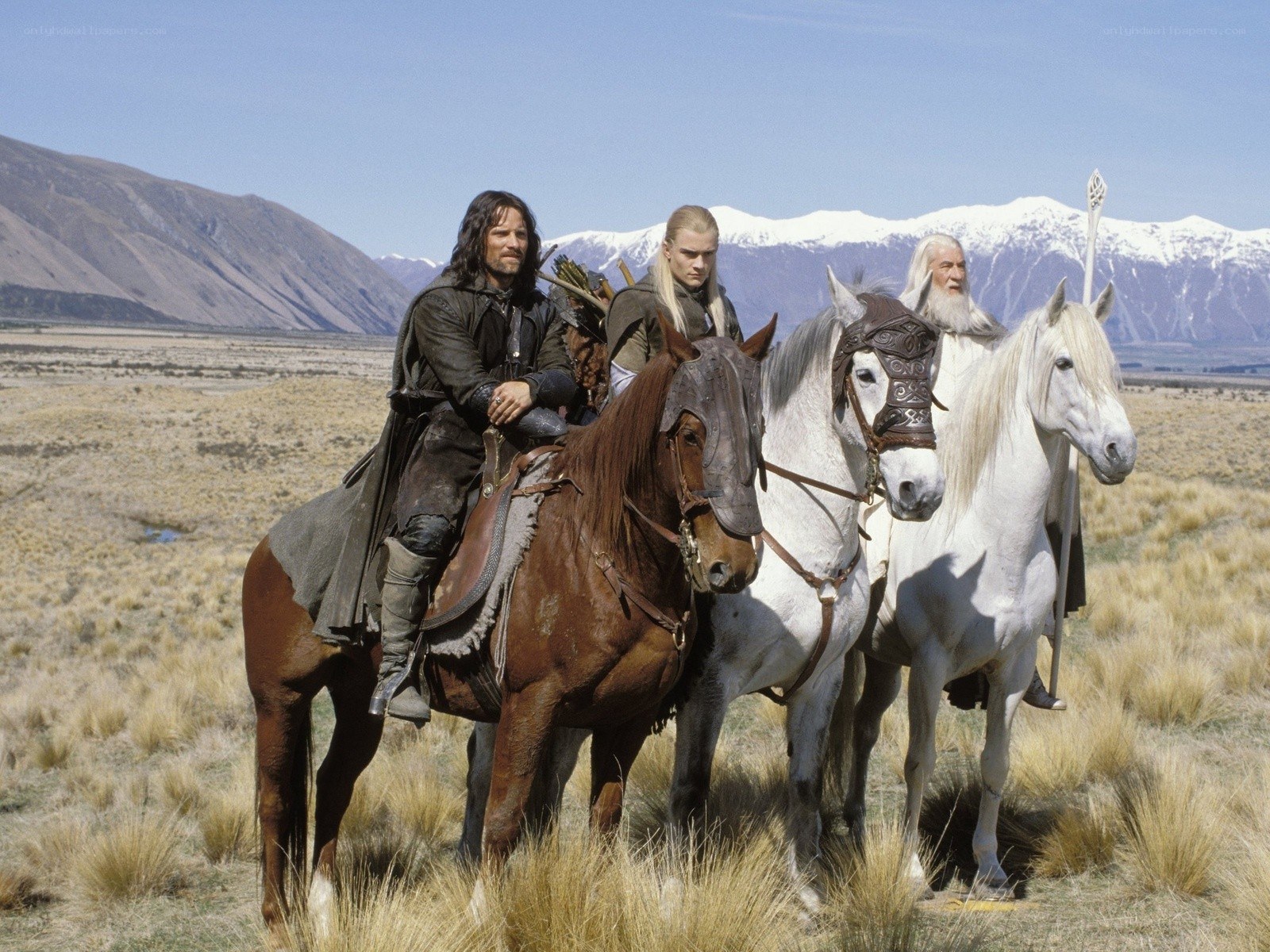 The Fellowship on horseback