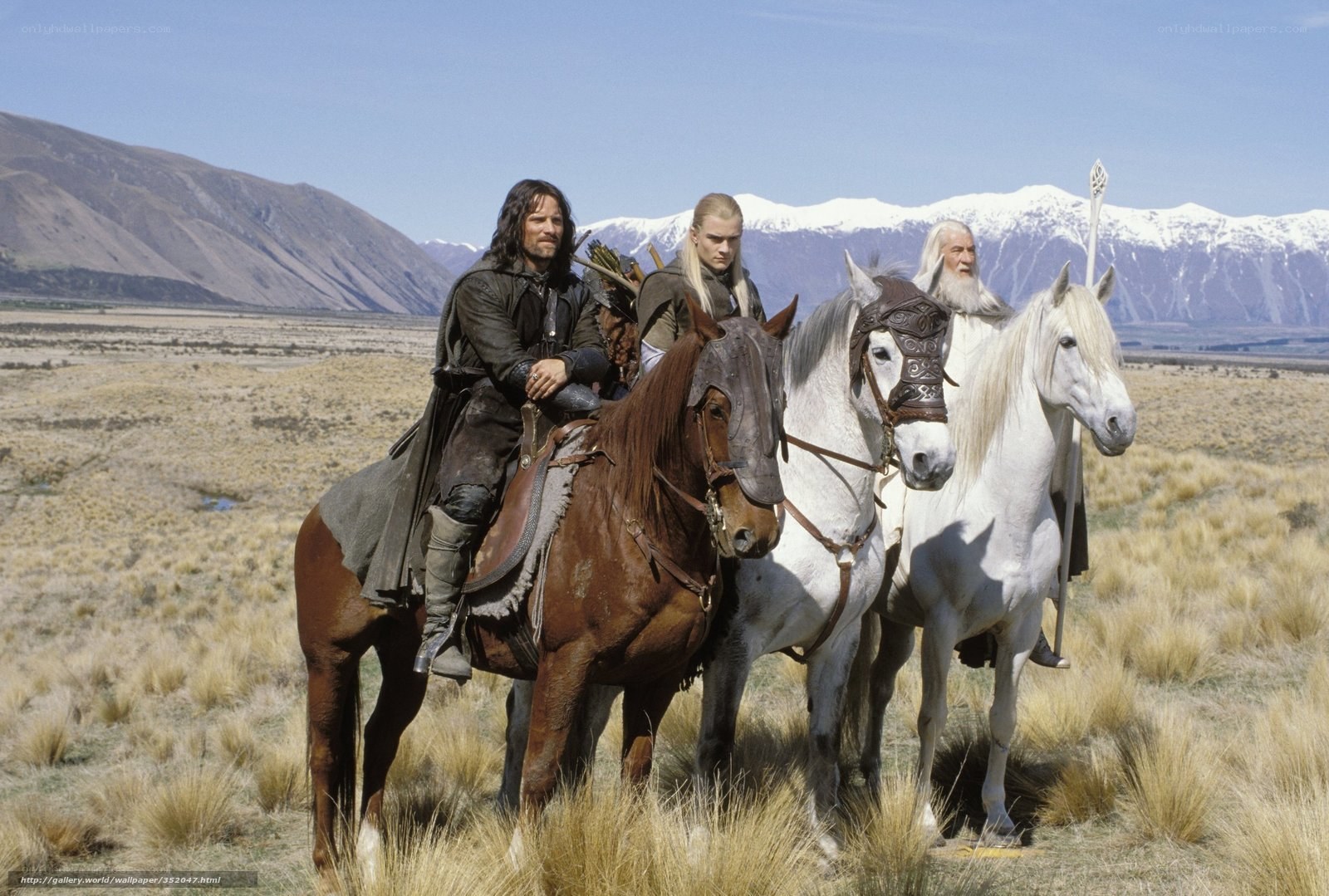 The Fellowship on horseback