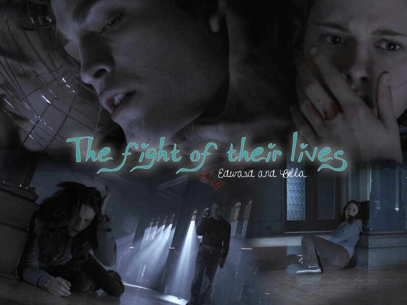 The fight of their lives