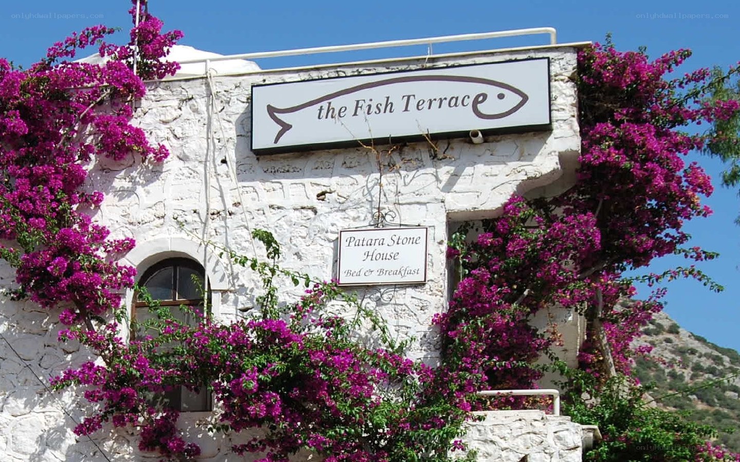 The Fish Terrace restaurant