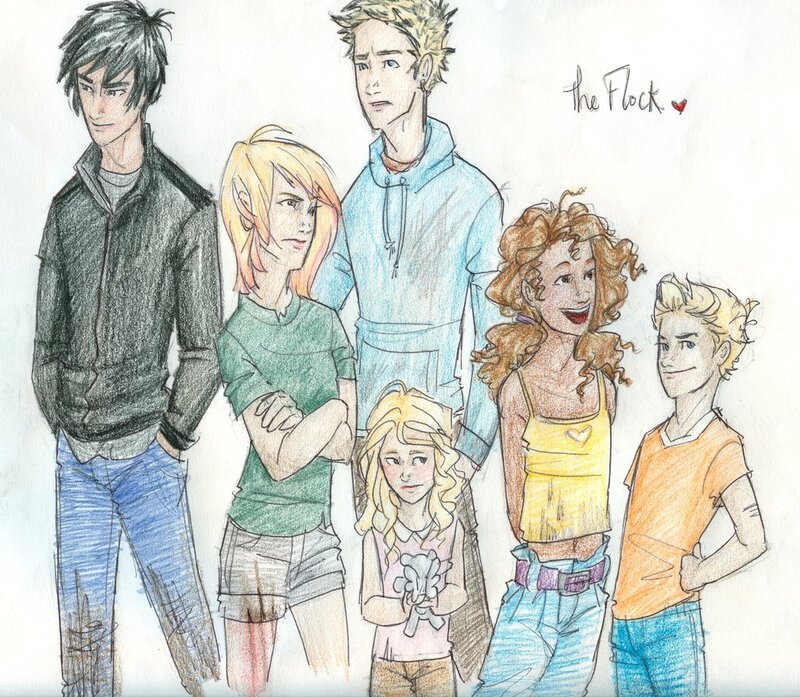 The Flock group drawing