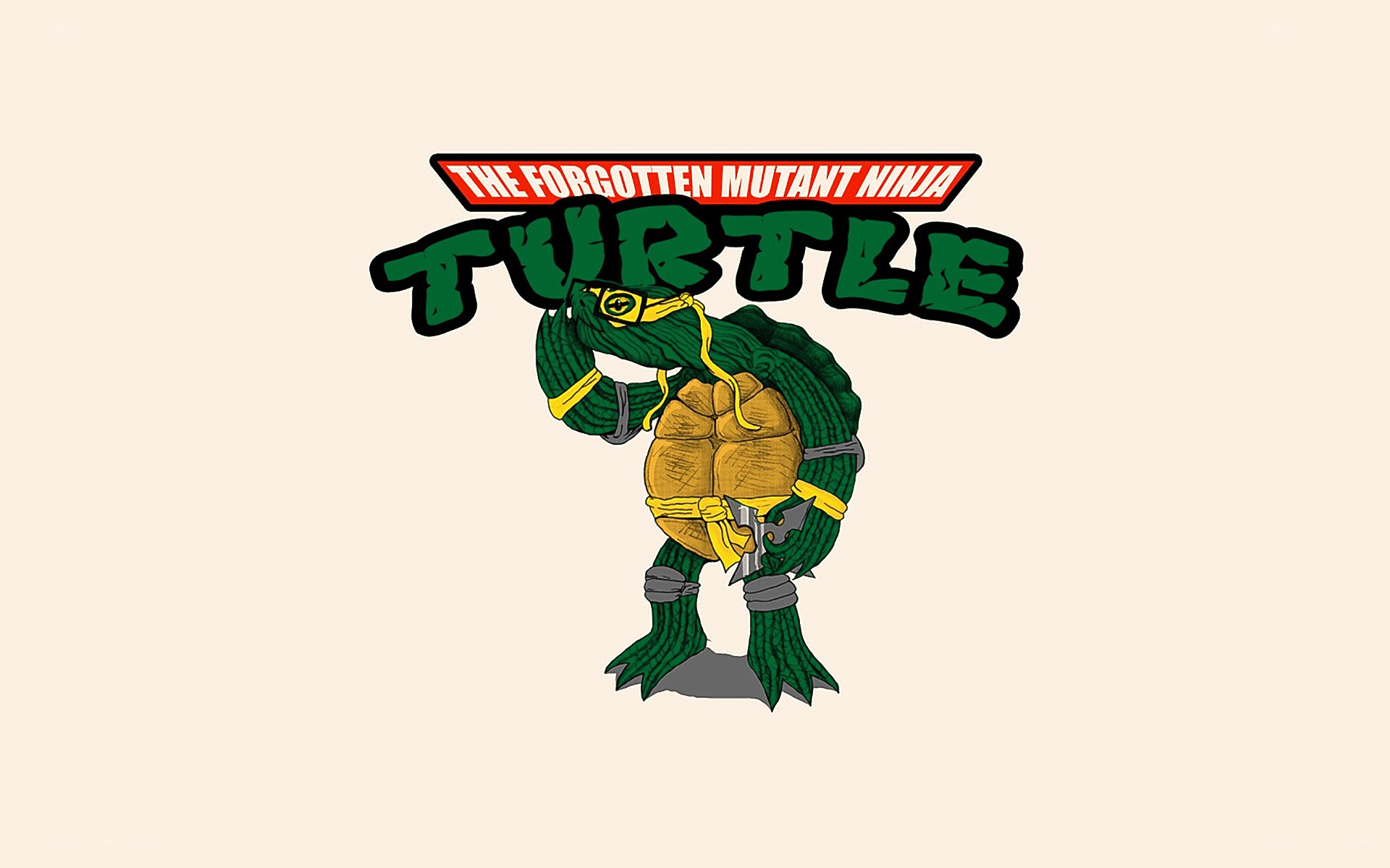 The Forgotten Mutant Ninja Turtle