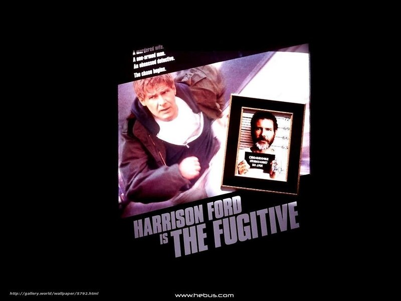 The Fugitive movie poster