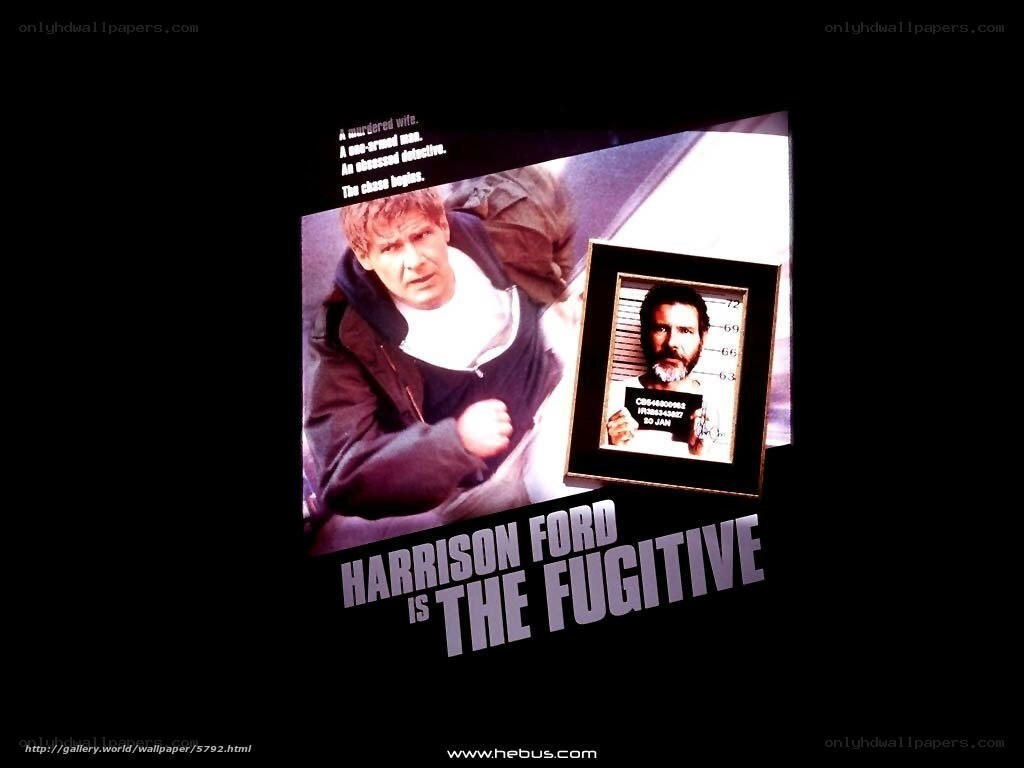 The Fugitive movie poster