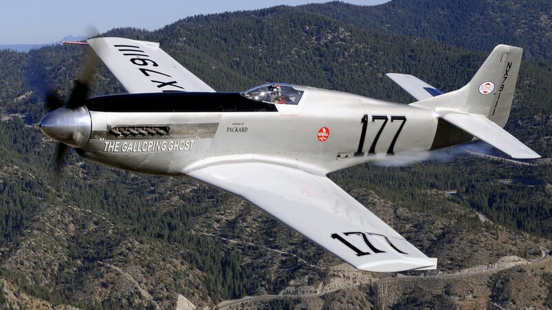 The Galloping Ghost in flight