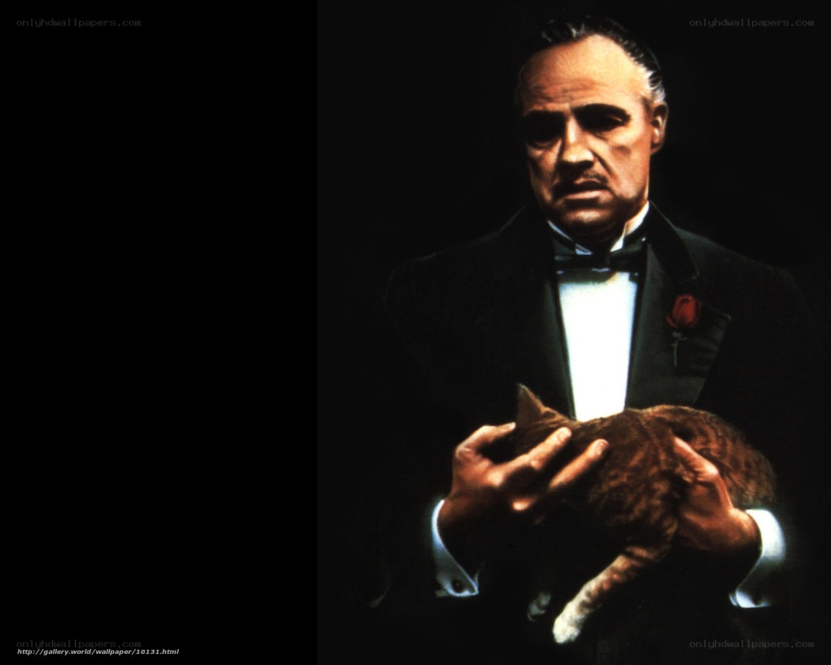 The Godfather holding a cat