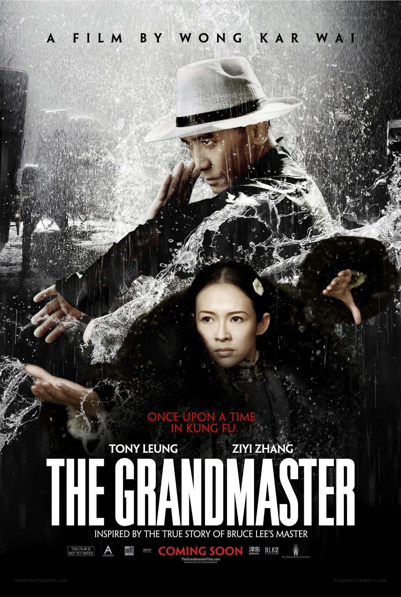The Grandmaster movie poster
