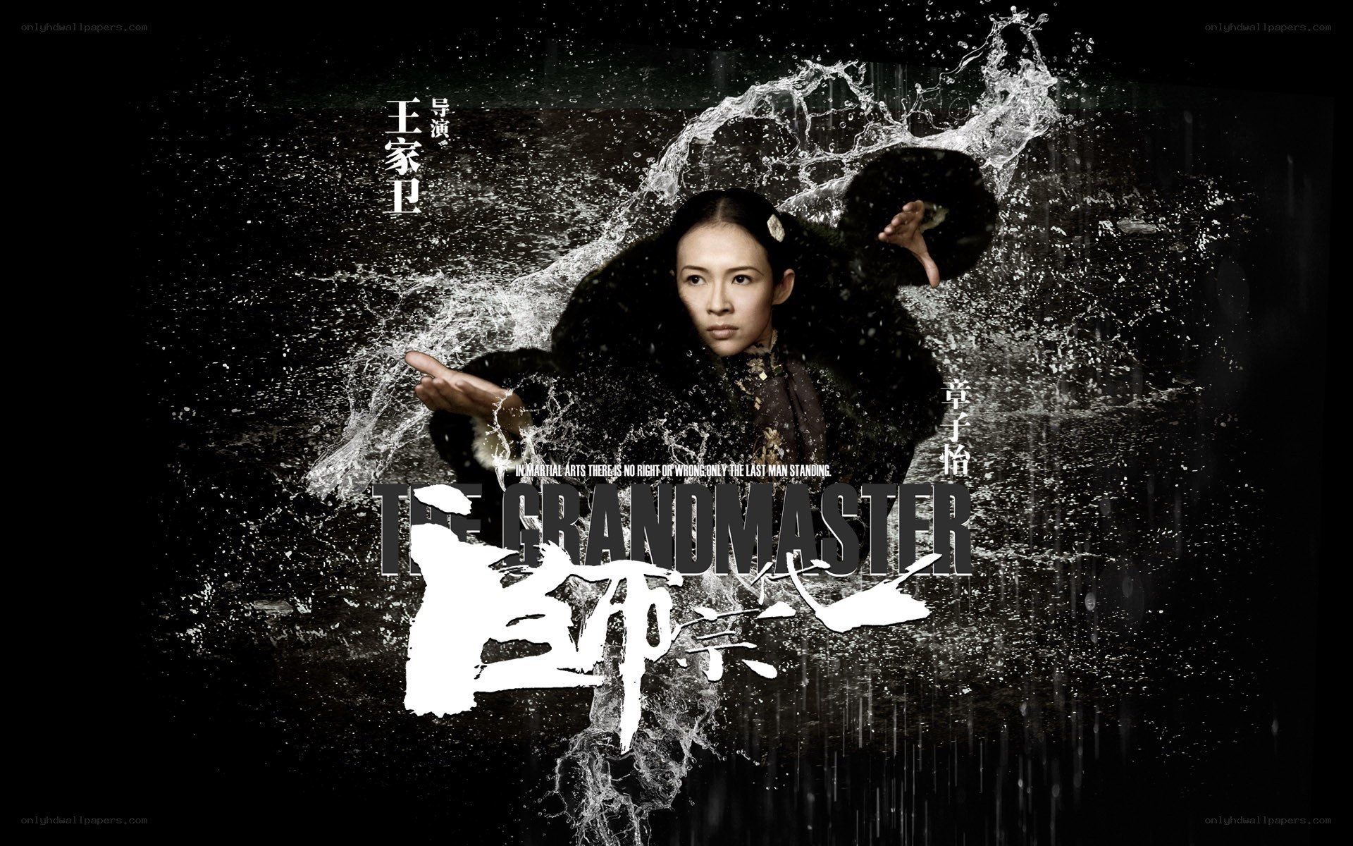 The Grandmaster movie poster