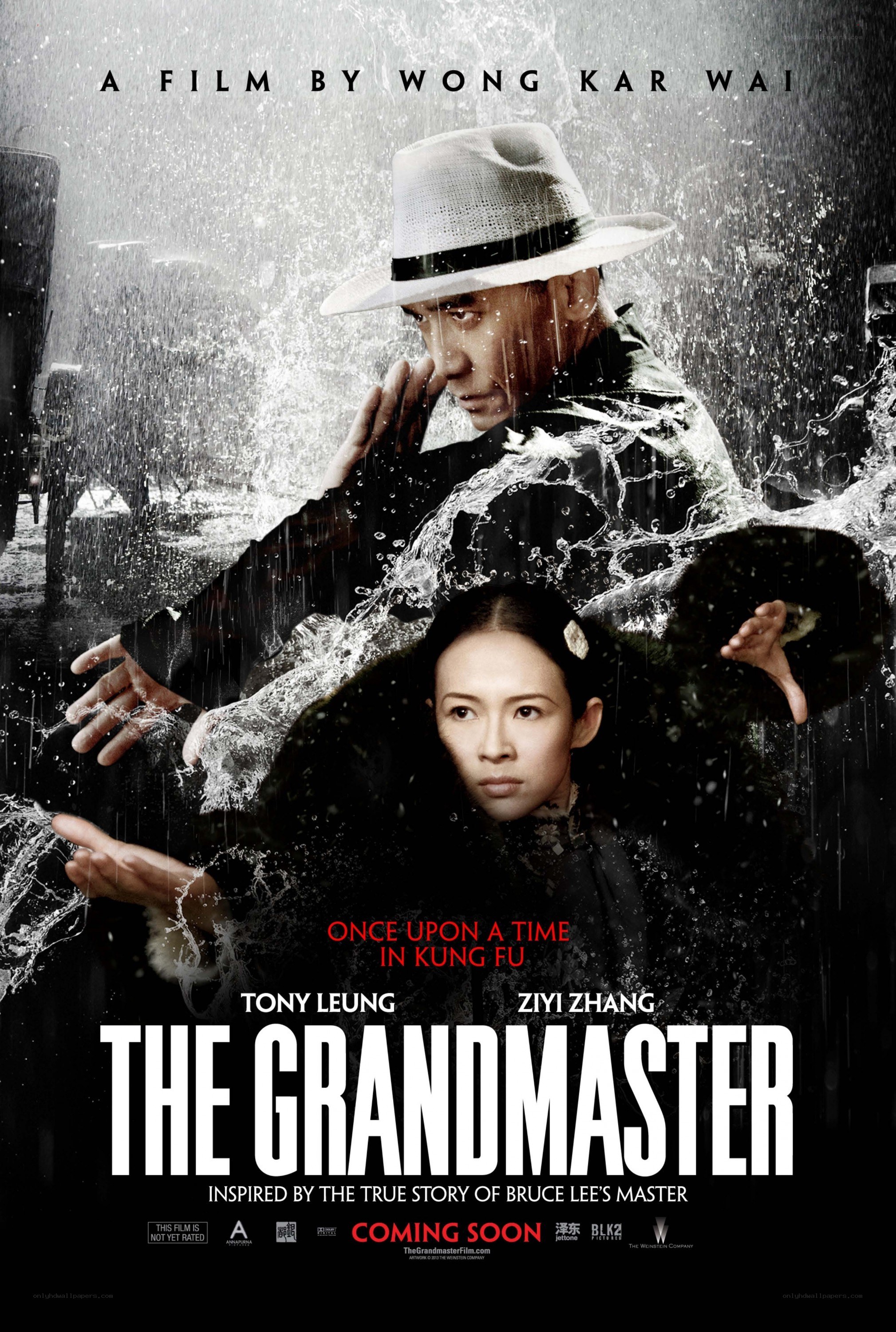 The Grandmaster movie poster