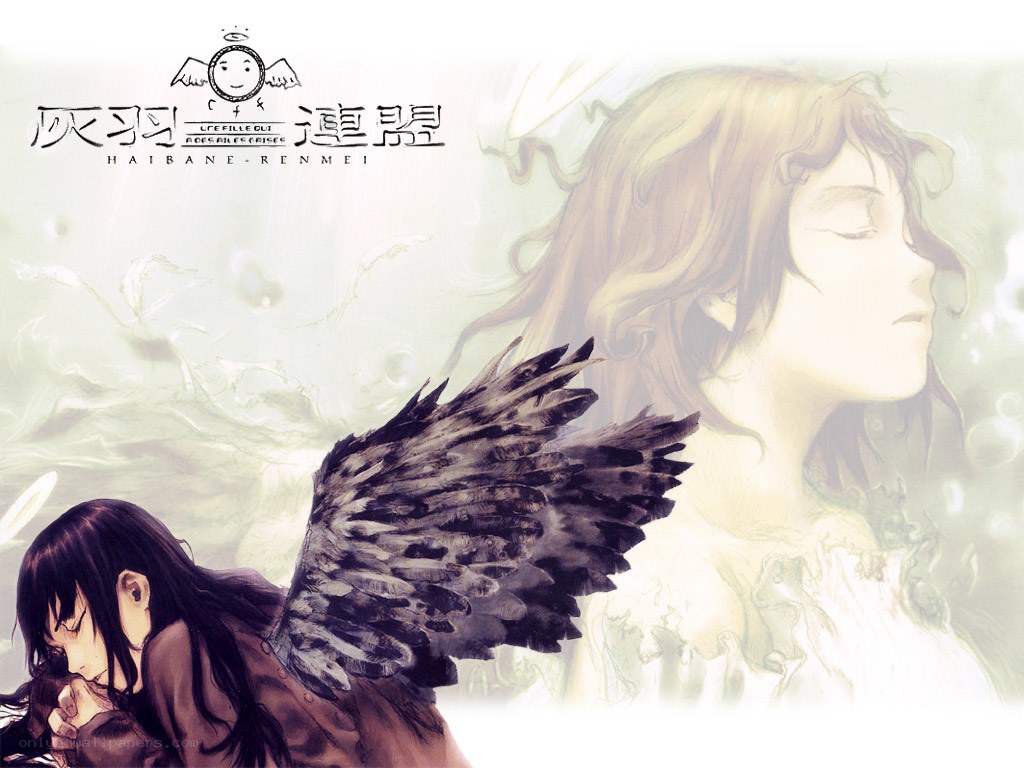 The Gray Wings Alliance