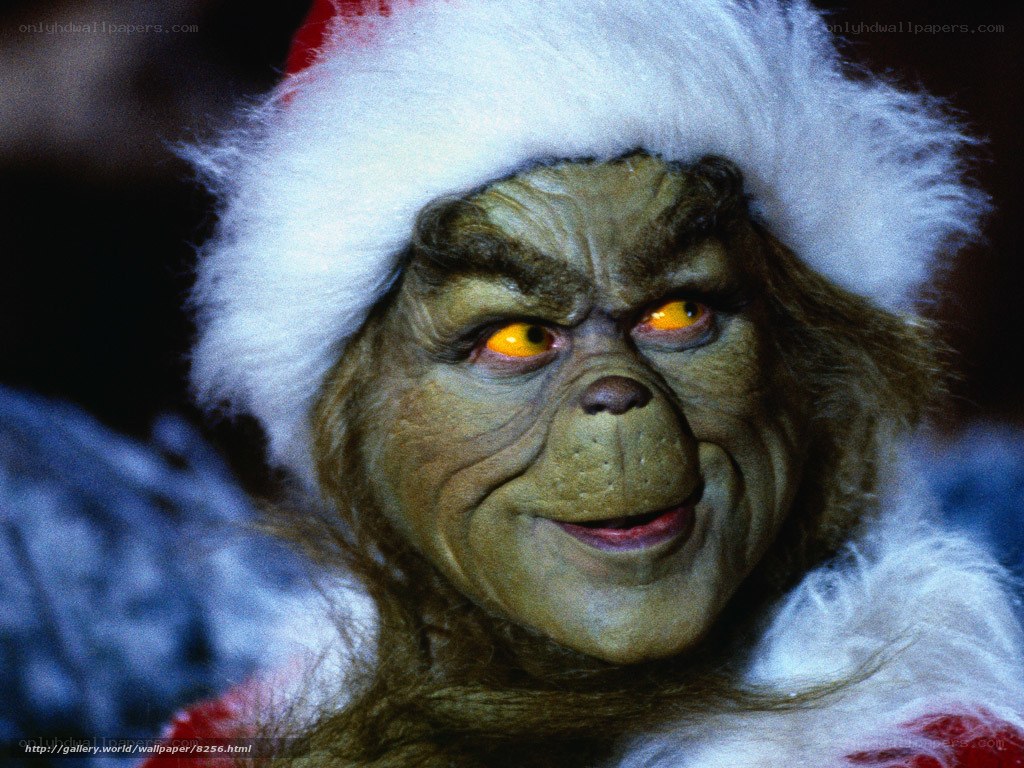The Grinch in Santa hat