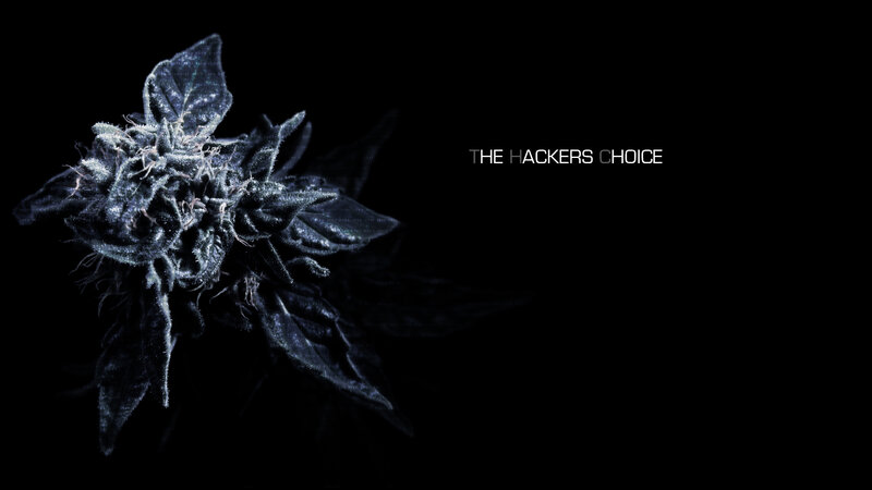 The Hackers Choice