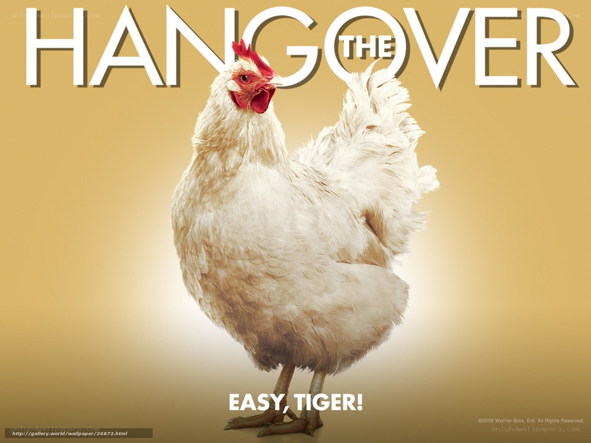 The Hangover movie poster