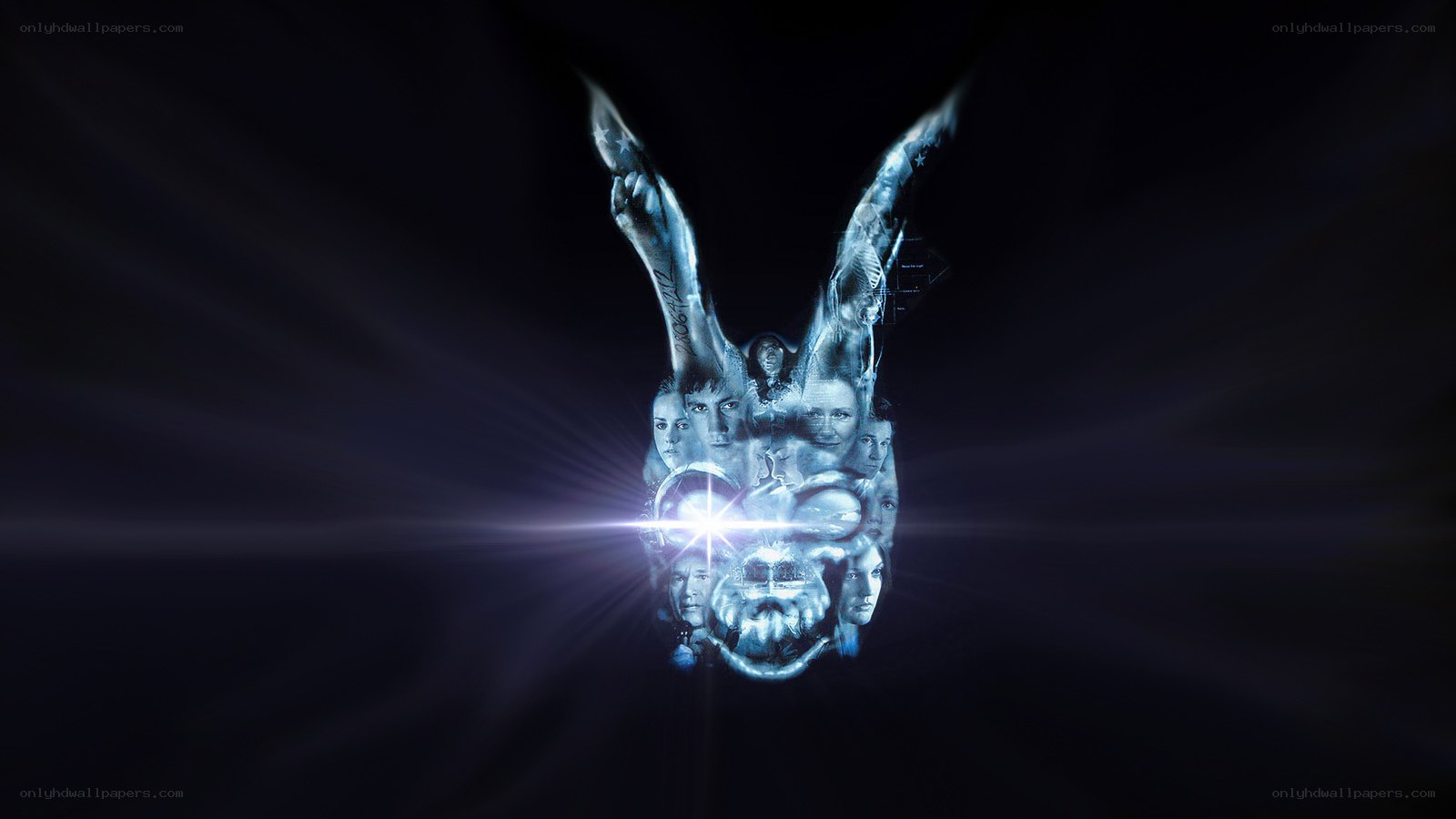 The Hangover Rabbit