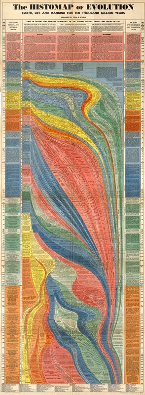 The HISTOMAP of EVOLUTION