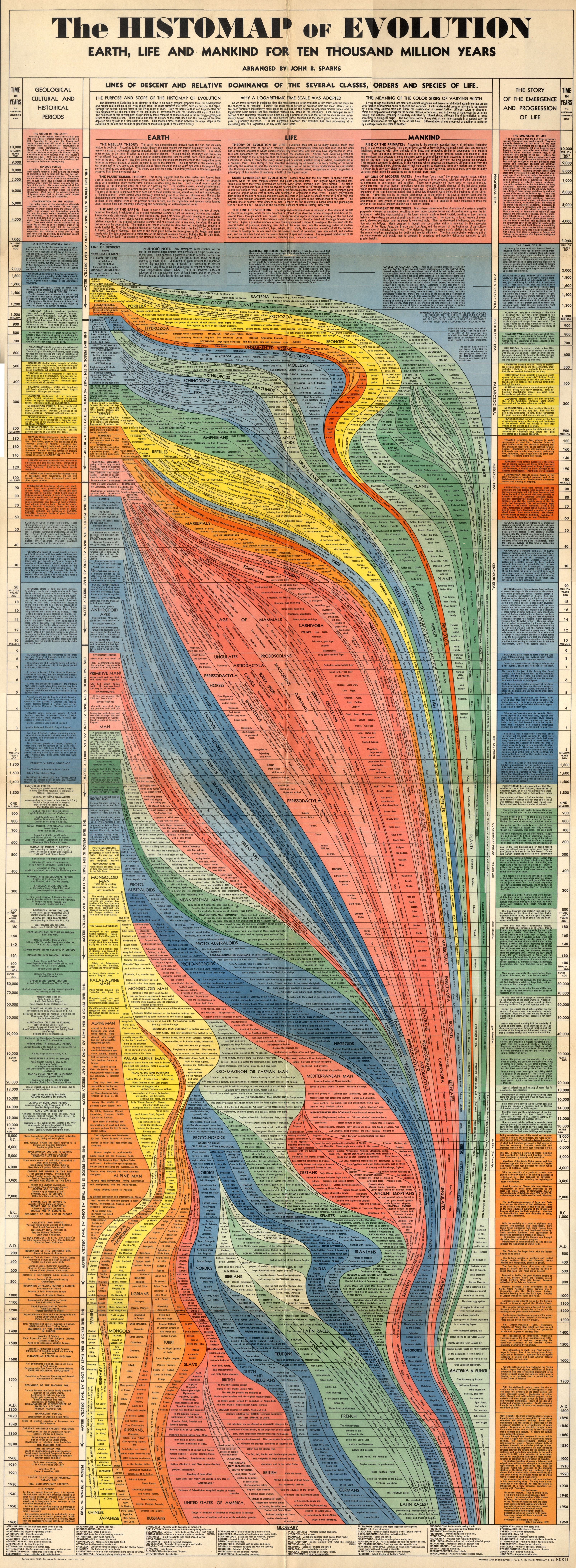 The HISTOMAP of EVOLUTION