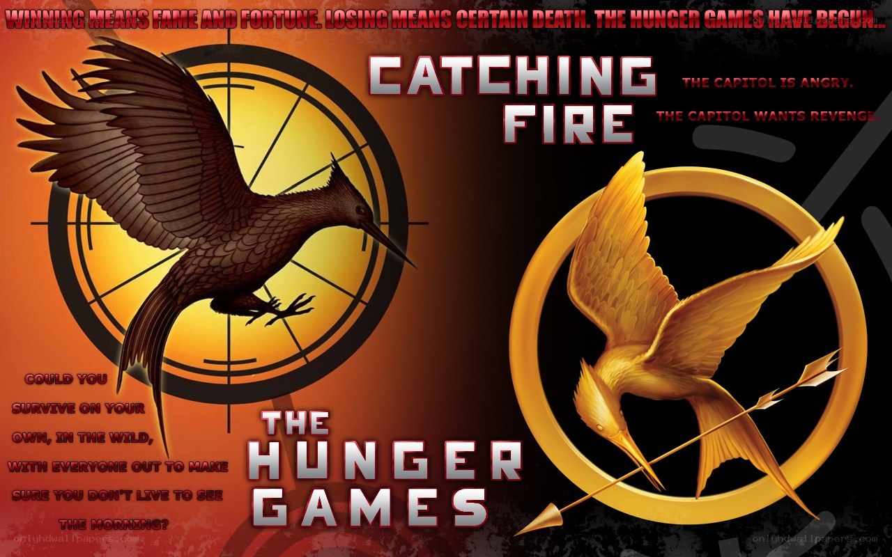 The Hunger Games Catching Fire