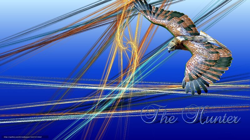 The Hunter