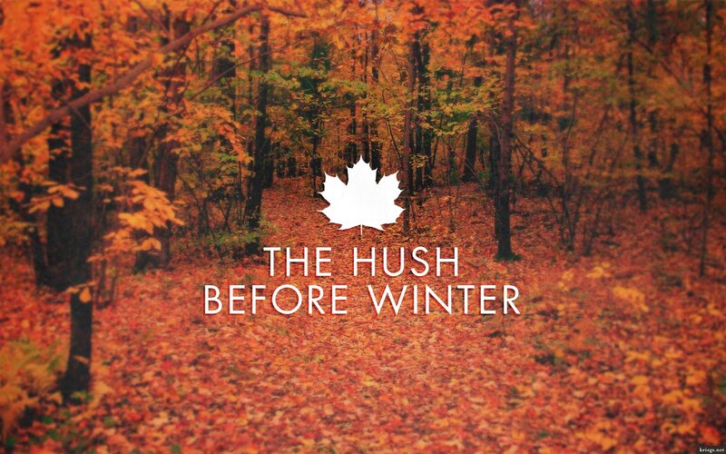 The Hush Before Winter